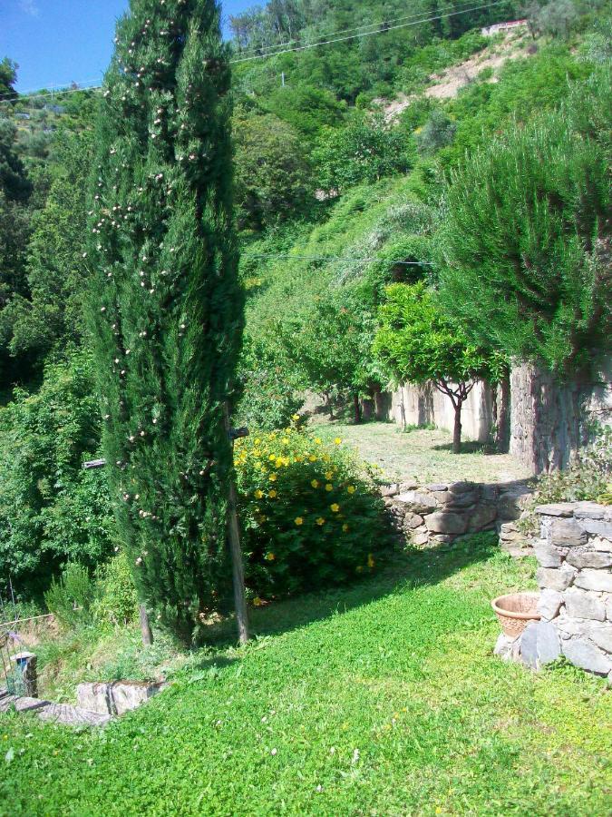5 Terre - B&B La Giuditta - La Spezia Eksteriør billede