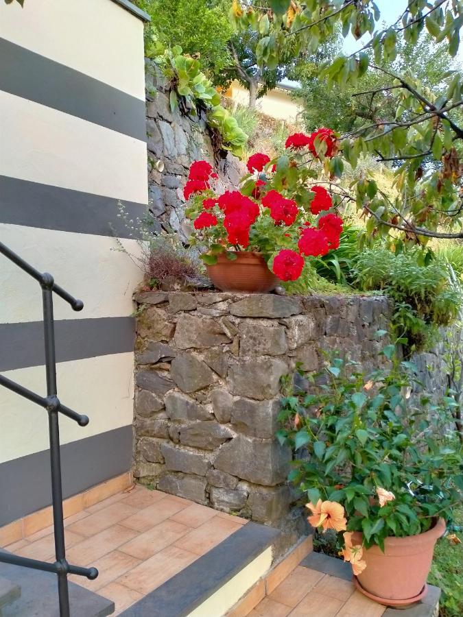5 Terre - B&B La Giuditta - La Spezia Eksteriør billede