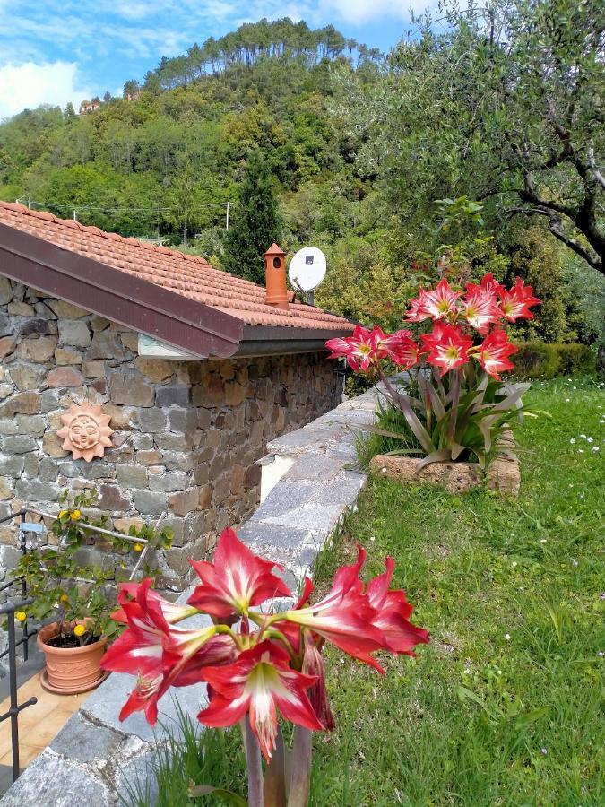 5 Terre - B&B La Giuditta - La Spezia Eksteriør billede